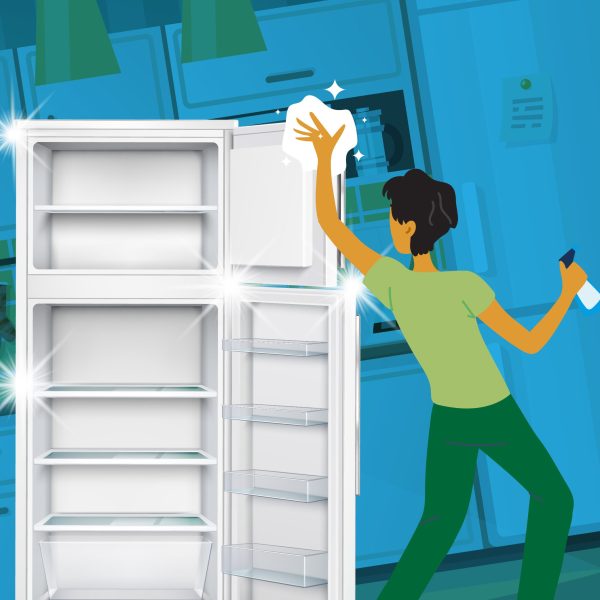 refrigerator contenu 01