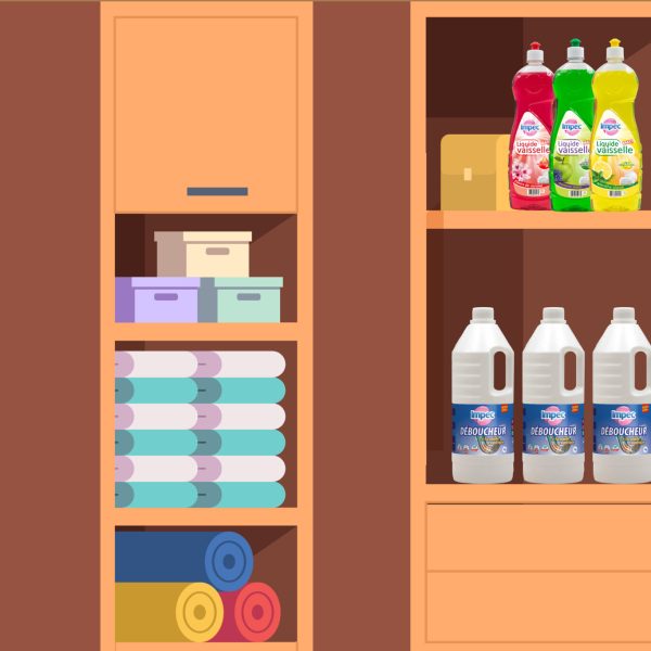 Comment deboucher les toilettes detail 01 2048x1365 1 600x600