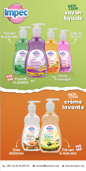 IMPEC GOOGLE DISPLAY LAVE MAINS 300ML 300x600px 1 1