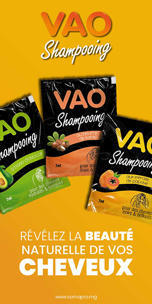 Vsp GN 300x600 min 1