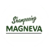 icon magneva